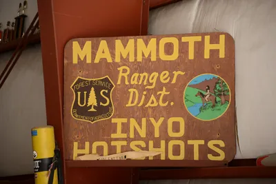 DSC_3249 (Large).JPG